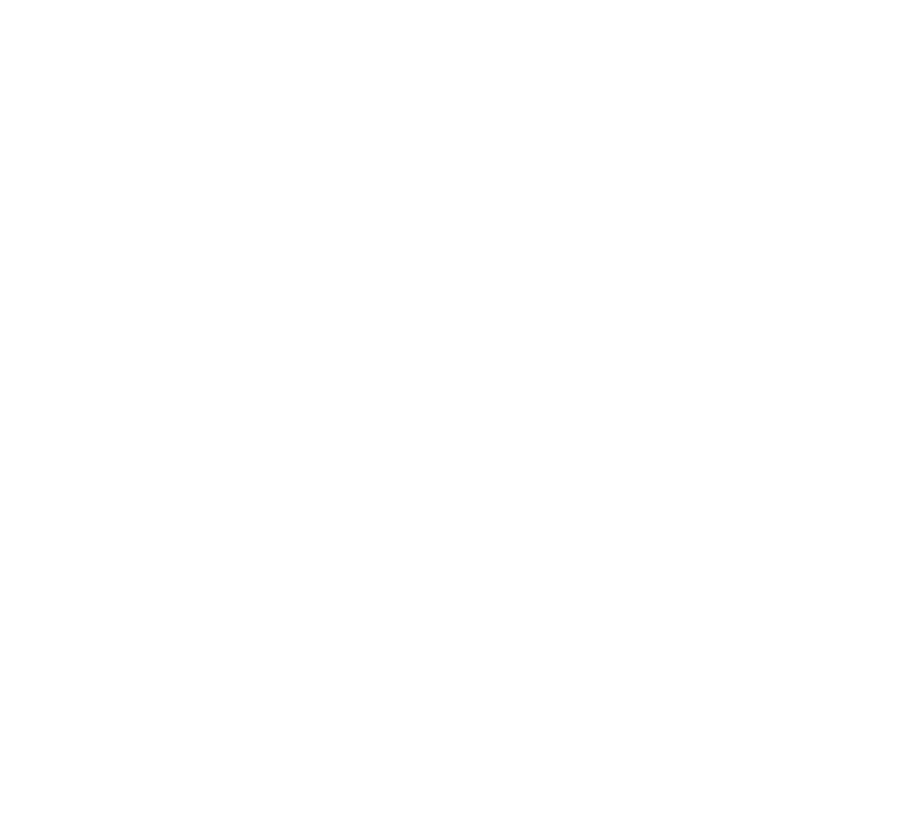 Bay County Disc Golf logo — Reverse — arc