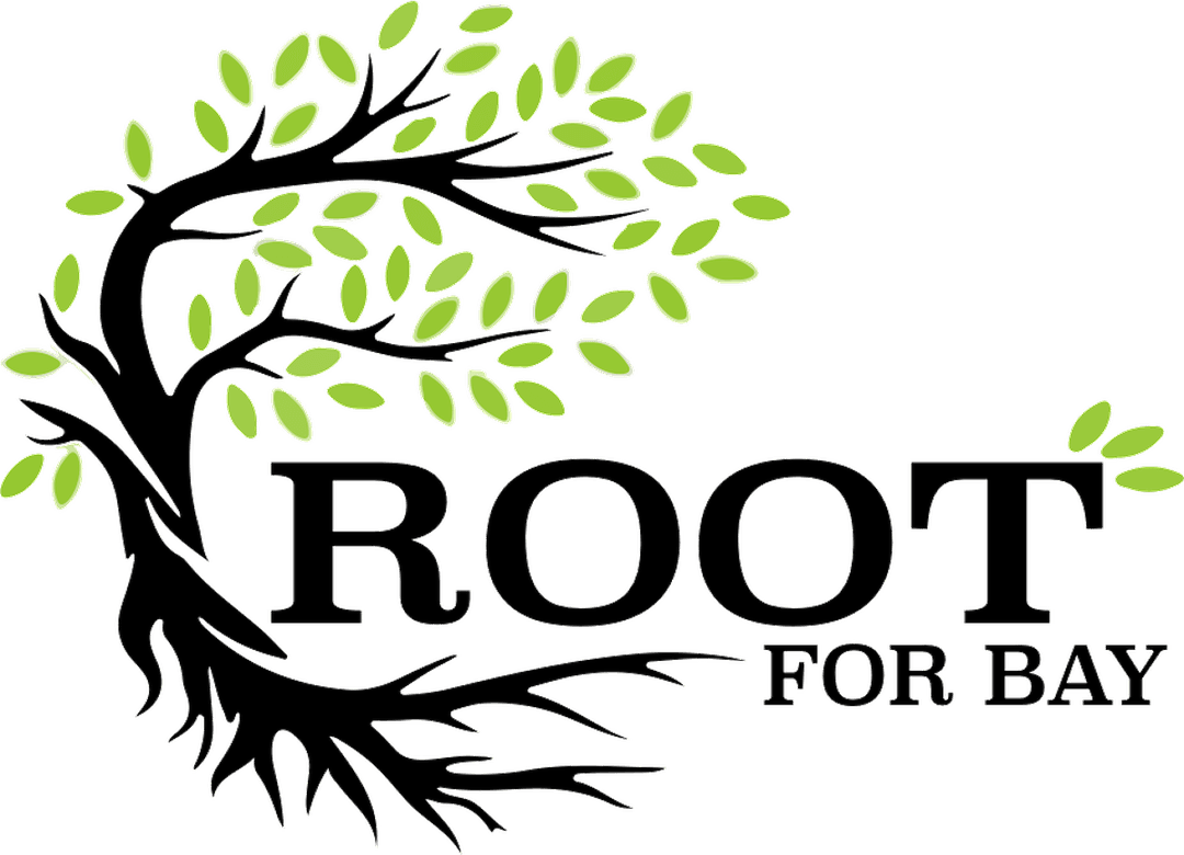 Root for Bay logo